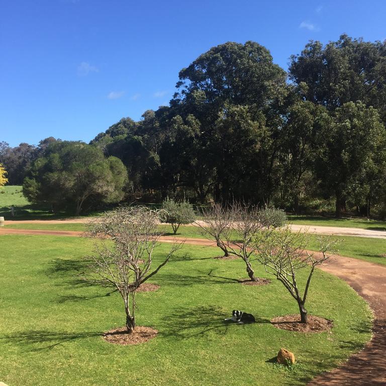 Erravilla Country Estate Spa Suite Accommodation Cowaramup Exterior foto